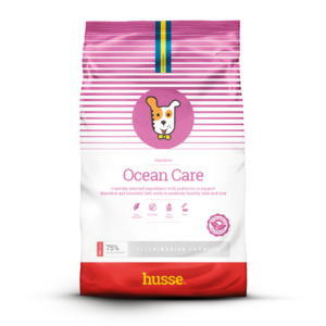 croquettes husse pour chien en bonne santé