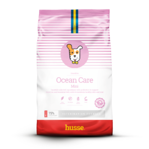 Croquettes au saumon pour chien en bonne santé avec husse