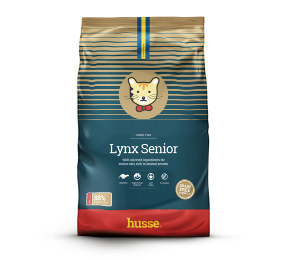 croquettes pour chat senior en bonne santé avec husse