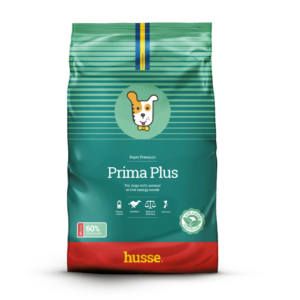 croquettes pour chien adulte en pleine santé avec husse
