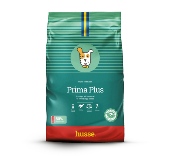 croquettes pour chien adulte en pleine santé avec husse
