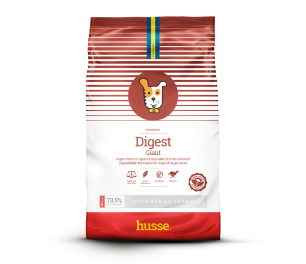 croquettes pour chien en bonne santé