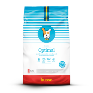 croquettes pour chien adulte en bonne santé