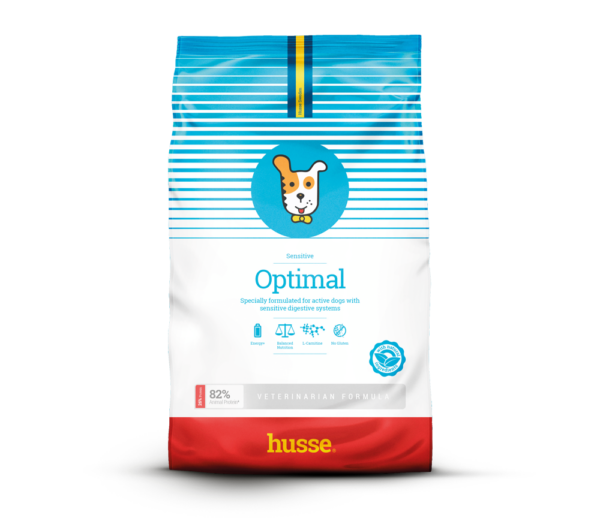 croquettes pour chien adulte en bonne santé