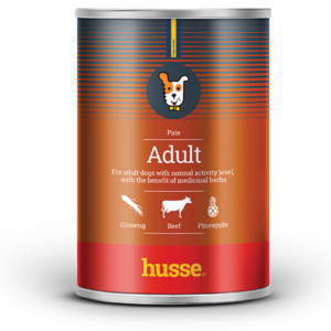 pâté au boeuf pour chien adulte en bonne santé avec husse