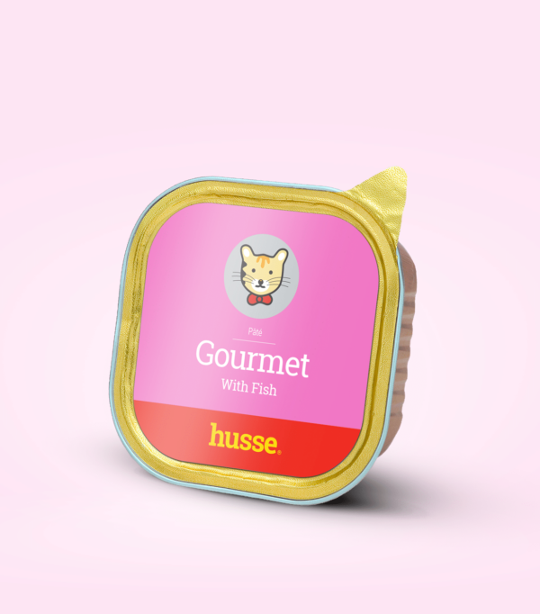 pâtée gourmet au saumon pour chat en bonne santé avec husse