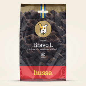 Friandises sans gluten pour chien en bonne santé avec husse