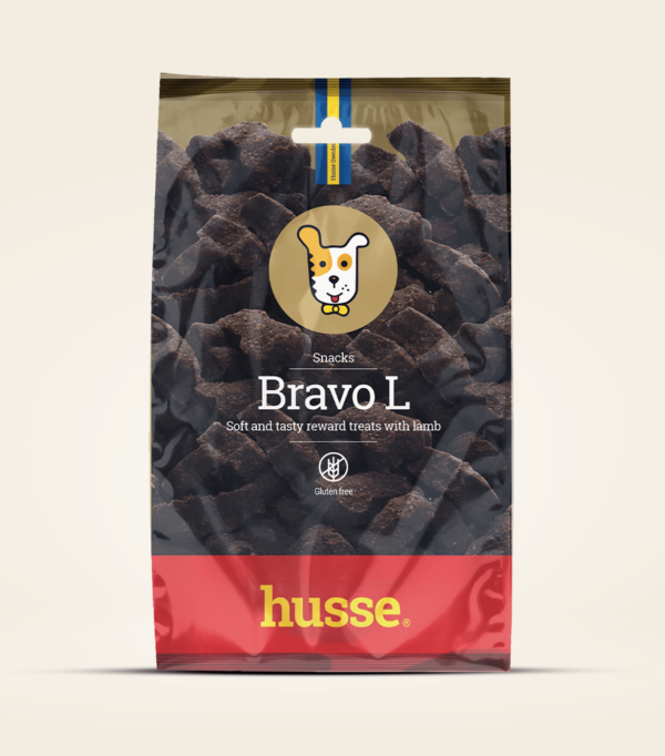 Friandises sans gluten pour chien en bonne santé avec husse