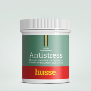 Anti-stress pour chien et chat en bonne santé avec husse