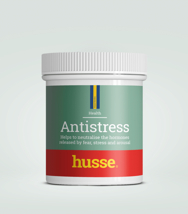 Anti-stress pour chien et chat en bonne santé avec husse