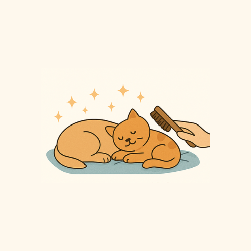 Compléments alimentaire stress et anxiété pour chien et chat Compléments alimentaire stress et anxiété pour chien et chat