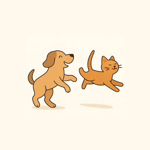 Compléments alimentaires pour confort articulaire chien et chat Compléments alimentaires pour confort articulaire chien et chat