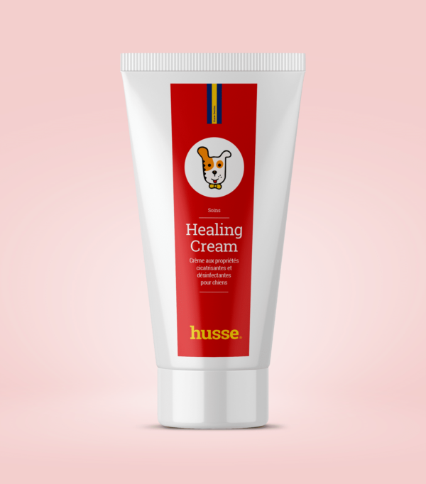 Crème cicatrisante pour chien en bonne santé avec husse