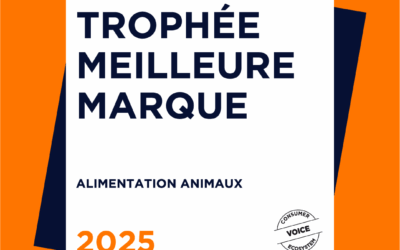 HUSSE élue meilleure marque de l’année 2025