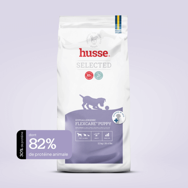 Croquettes hypoallergéniques et soutien articulaire pour chiot en bonne santé avec husse