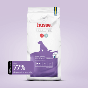 Croquettes hypoallergéniques et soutien articulaire pour chien senior en bonne santé avec husse