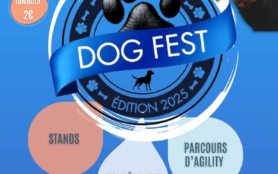 DOGFEST à Bourgoin