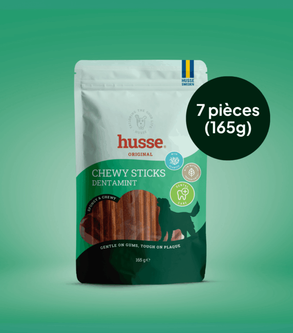 Friandises anti-tartre pour chien en bonne santé avec Husse