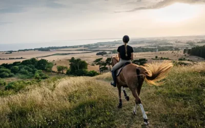 Prendre soin de son cheval en automne
