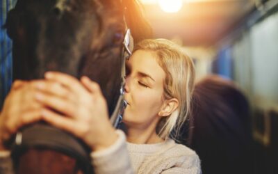 VITAMINES ET MINERAUX POUR CHEVAUX