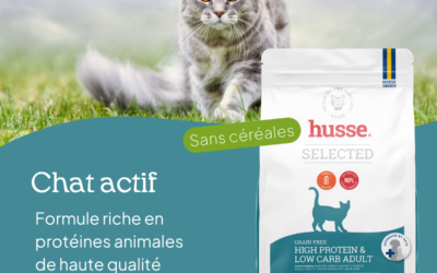 Pourquoi des croquettes naturelles sont meilleures pour la santé de votre chat