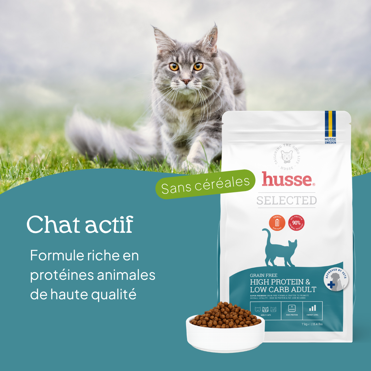 LOGO  husse meilleure marque de l'année